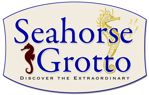 Seahorse Grotto