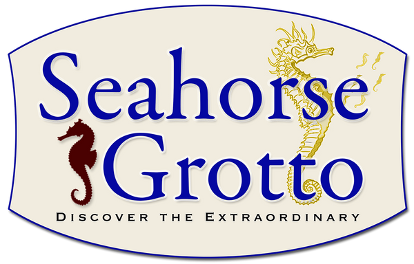 Seahorse Grotto